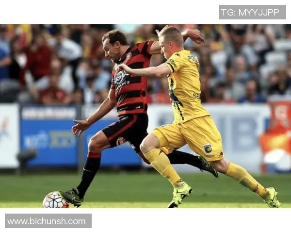 惠灵顿凤凰与中部海岸队员激战正酣精彩瞬间回顾与分析 惠灵顿凤凰与中部海岸队员激战正酣精彩瞬间回顾与分析