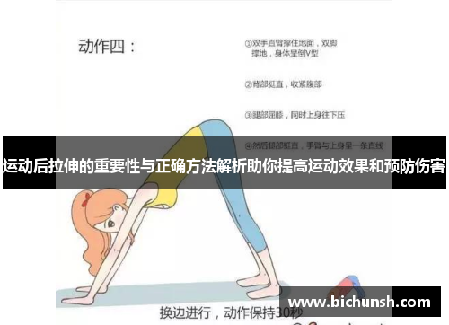 运动后拉伸的重要性与正确方法解析助你提高运动效果和预防伤害