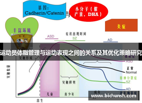 运动员体脂管理与运动表现之间的关系及其优化策略研究