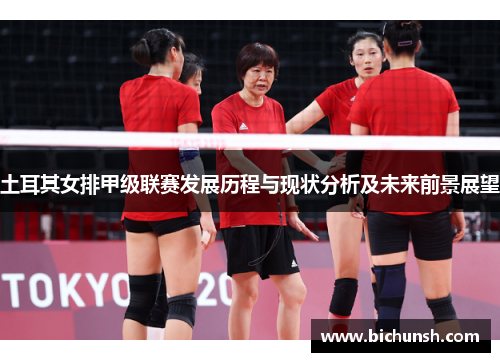 土耳其女排甲级联赛发展历程与现状分析及未来前景展望