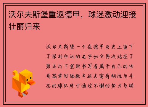 沃尔夫斯堡重返德甲，球迷激动迎接壮丽归来